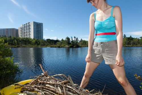 D'Arcy_Helper_Beaver-11