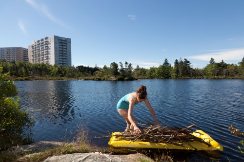 D'Arcy_Helper_Beaver-29