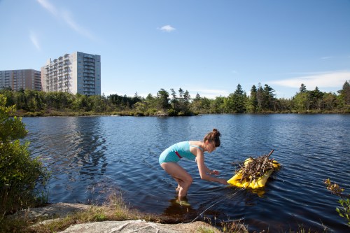 D'Arcy_Helper_Beaver-32