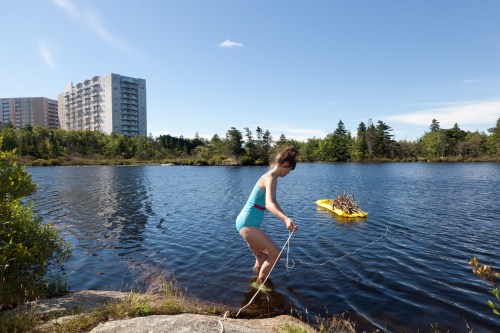 D'Arcy_Helper_Beaver-34