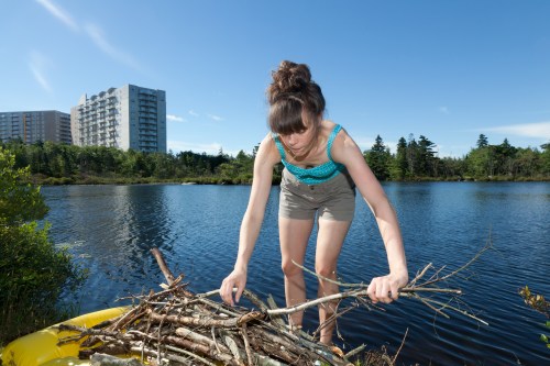 D'Arcy_Helper_Beaver-8