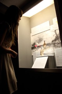Singing a lullaby to the passenger pigeon at the Nova Scotia Museum of Natural History (Nocturne, 2012). Photo by Leigh Kirkpatrick. 