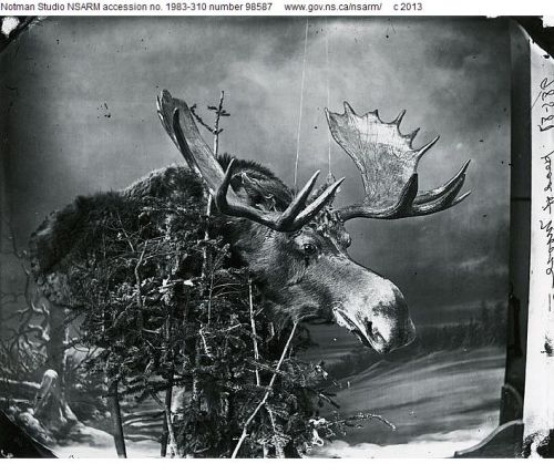 Courtesy of Nova Scotia Archives, Halifax, NS